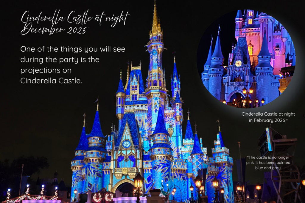 cinderella castle at night in december