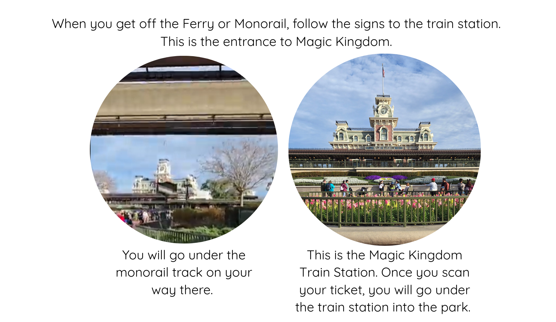 how-to-get-to-magic-kingdom
