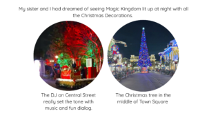 dj and Christmas tree at Magic Kingdom