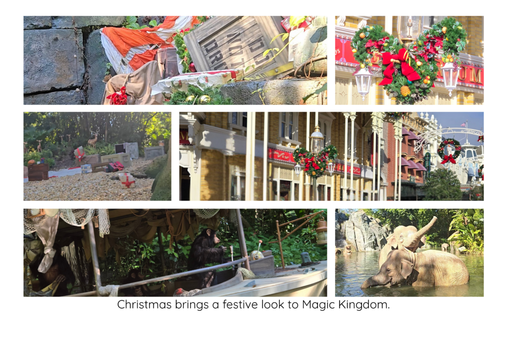 more jingle cruise decorations